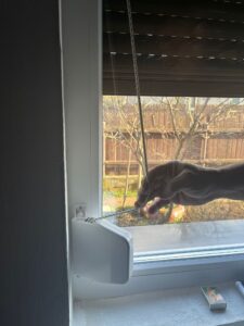 WhatsApp Image 2026-03-12 at 20.48.30